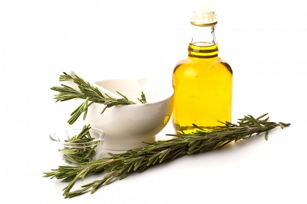 تصویر 1 از قیمت خرید عصاره روغن رزماری با فروش عمده